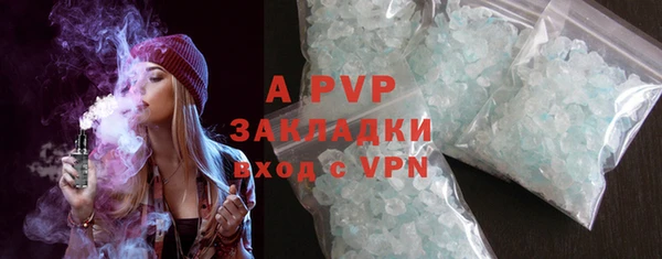 крисы Коряжма