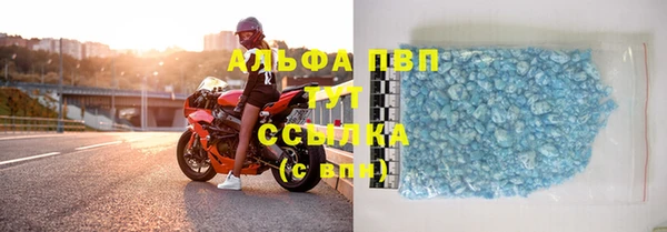 PSILOCYBIN Корсаков