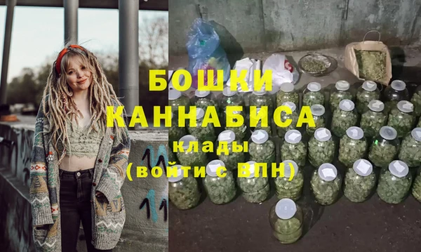 крисы Коряжма