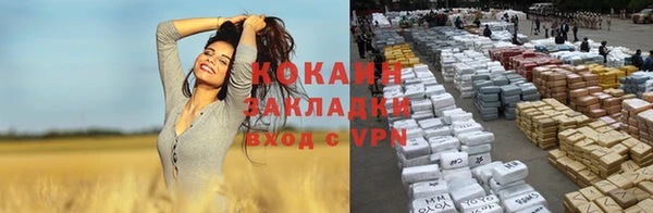 крисы Коряжма