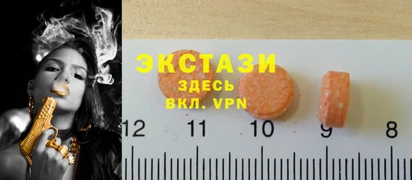 крисы Коряжма