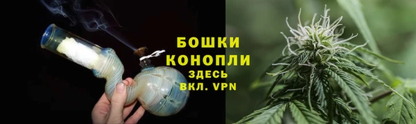 крисы Коряжма