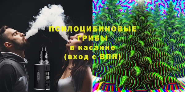 крисы Коряжма