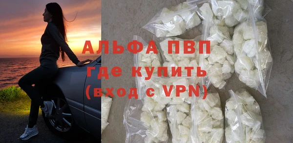крисы Коряжма