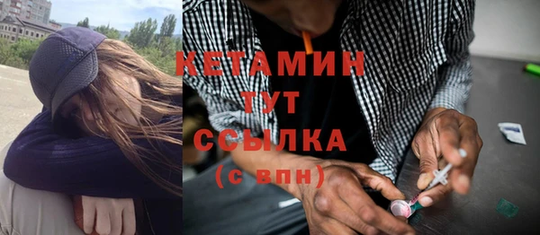 крисы Коряжма