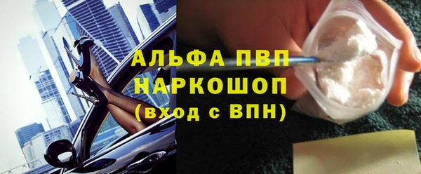 PSILOCYBIN Корсаков