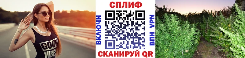Купить  Димитровград  Каннабис THC 21% 